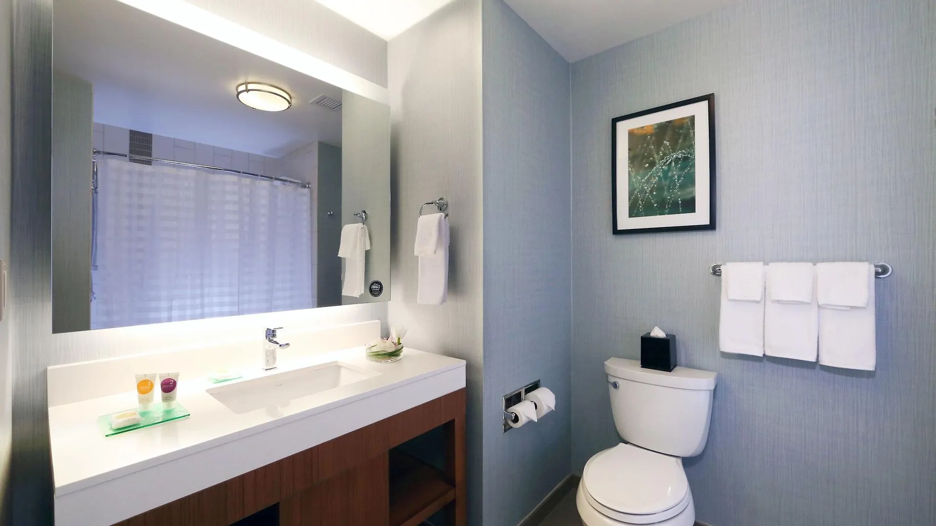 Hyatt Place Flushing/Lga Airport New York